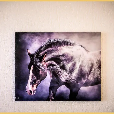 Appartamento Le Val I T2 45m2 I